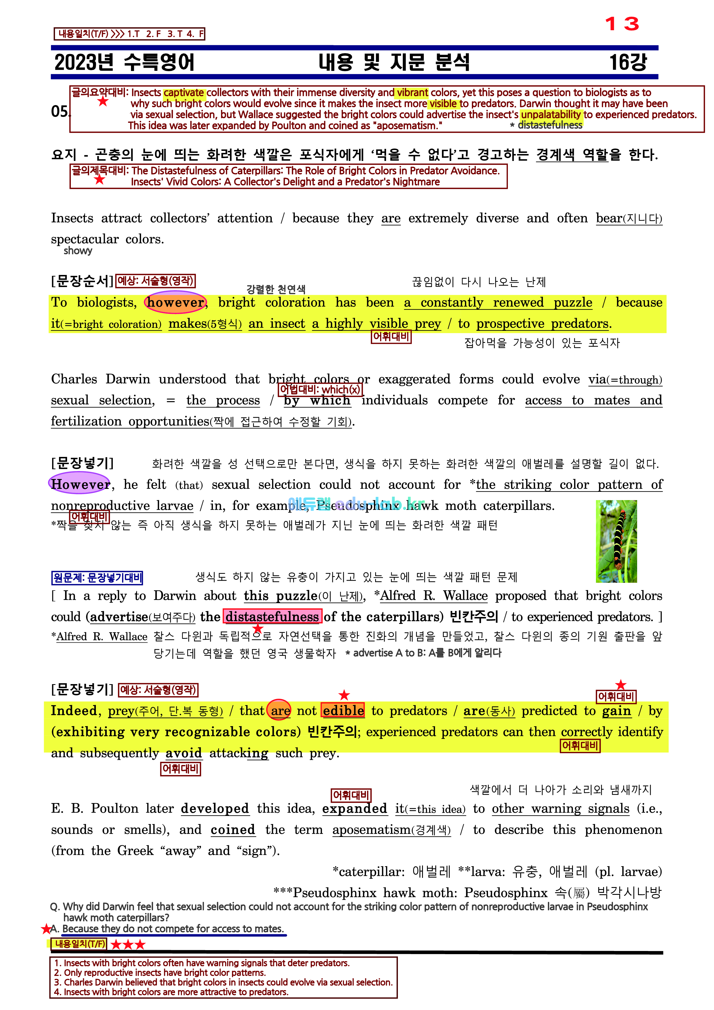 [비밀노트(edu-lab.kr)]24대비_수특영어 16강_차별화된 최종찍기_TOTAL_상세어휘(유의어반의어)_분석_쏙쏙복습_한문장해석하기