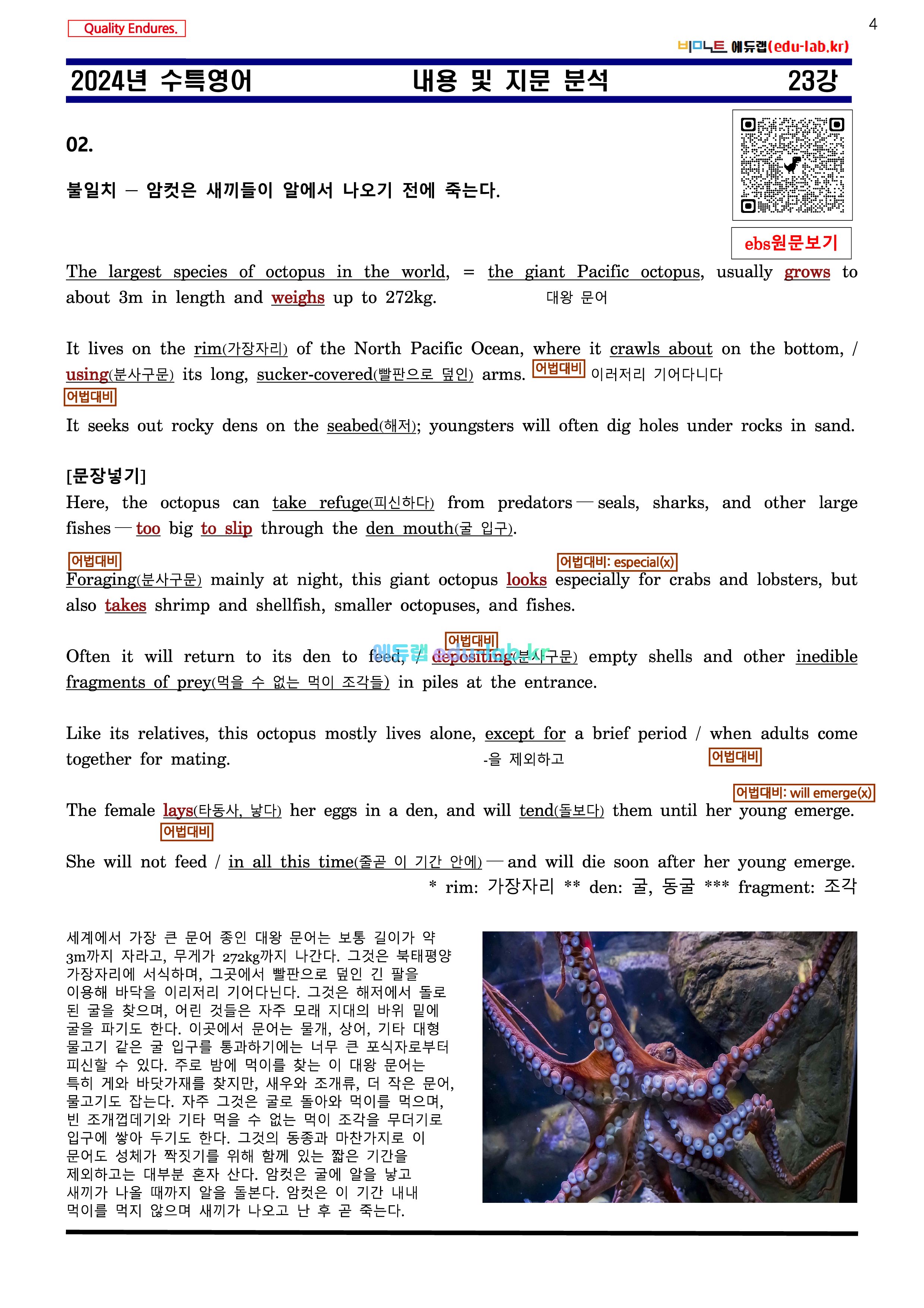 [비밀노트 에듀랩(edu-lab.r)] 24년(25학년도)수특영어 23강 내용 및 지문분석 -신(信)최종찍기-나눔고딕체설치